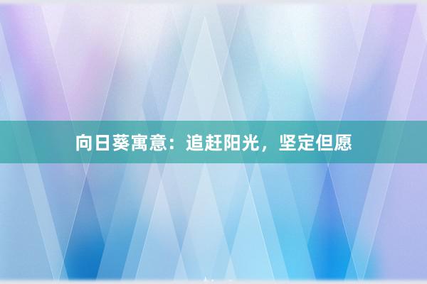 向日葵寓意：追赶阳光，坚定但愿